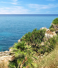 opSicilie - Natuurres Lo Zingaro