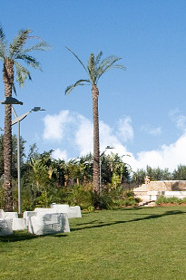 opSicilie - De tweede tuin van de borgo delle olive - Balestrate, Sicilie