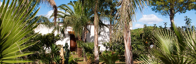 opSicilie - Casa Giudeo - Balestrate, Sicilie - tuin van de vakantiewoning