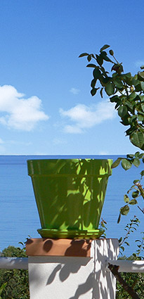 opSicilie - Vakantiewoning Balestrate Sicilie