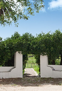 opSicilie - naar de tuin van masseria mirabile - Balestrate, Sicilie