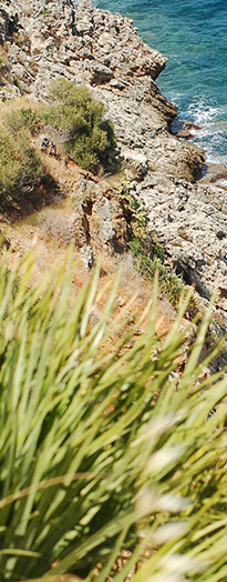 opSicilie - Natuurreservaat lo Zingaro, Sicilië