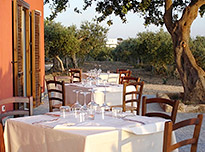 opSicilie - Baglio Cantello in Paceco