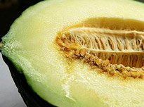 opSicilie - Siciliaanse streekproducten - Melone perceddu uit Alcamo